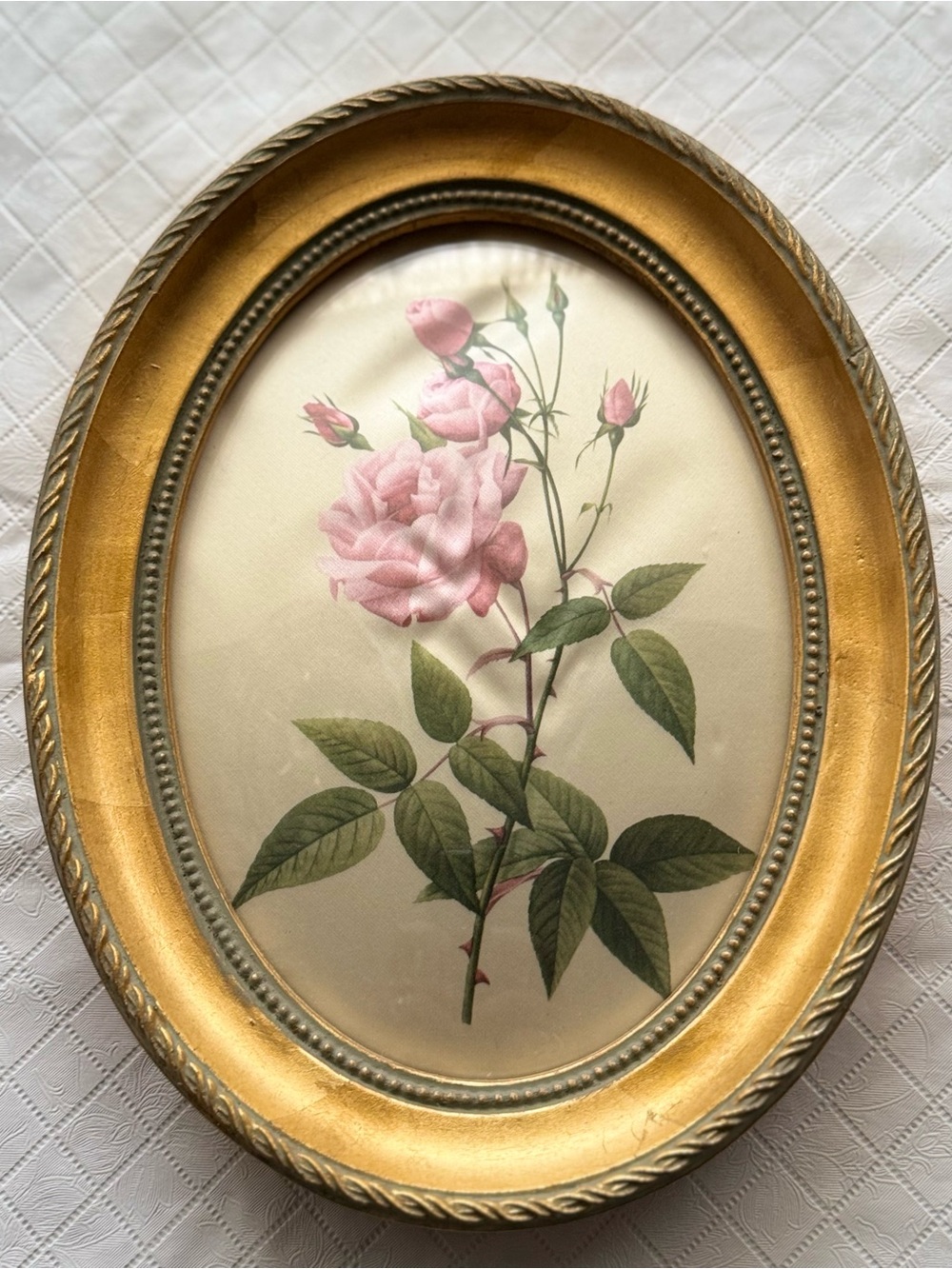 Oval Gold Framed Pink Rose Botanical Wall Art